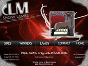 CLM Show Lambs